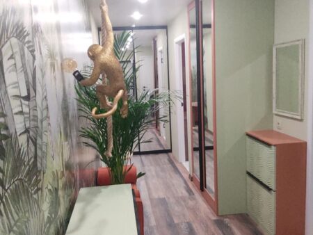 Шкафы в прихожую для Анны